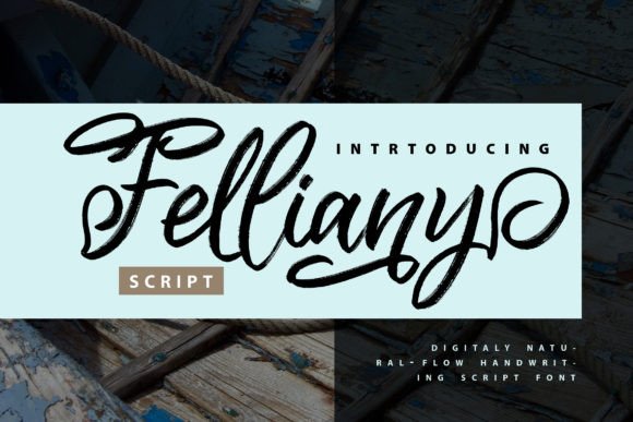 Felliany: A Modern Script Font for Web Design